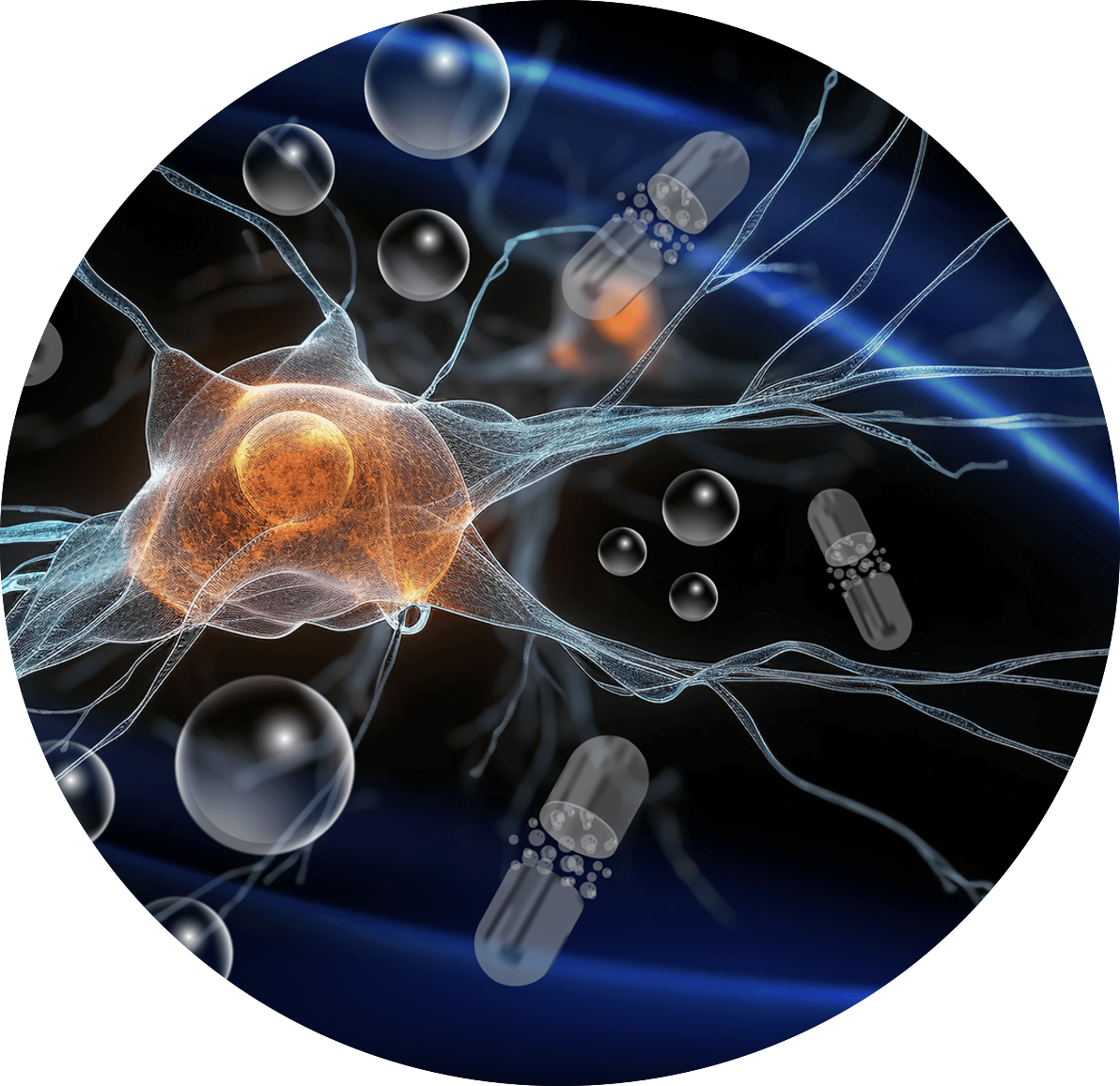 Neuron and capsules